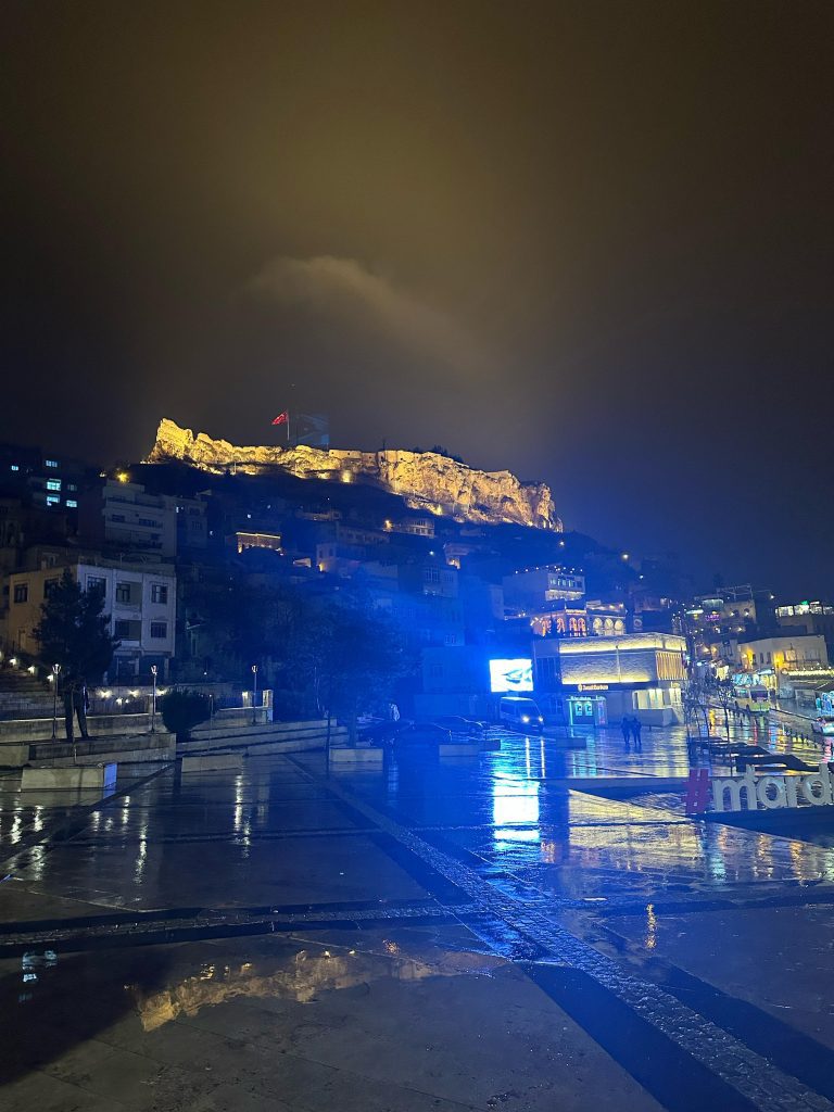 Mardin Kalesi