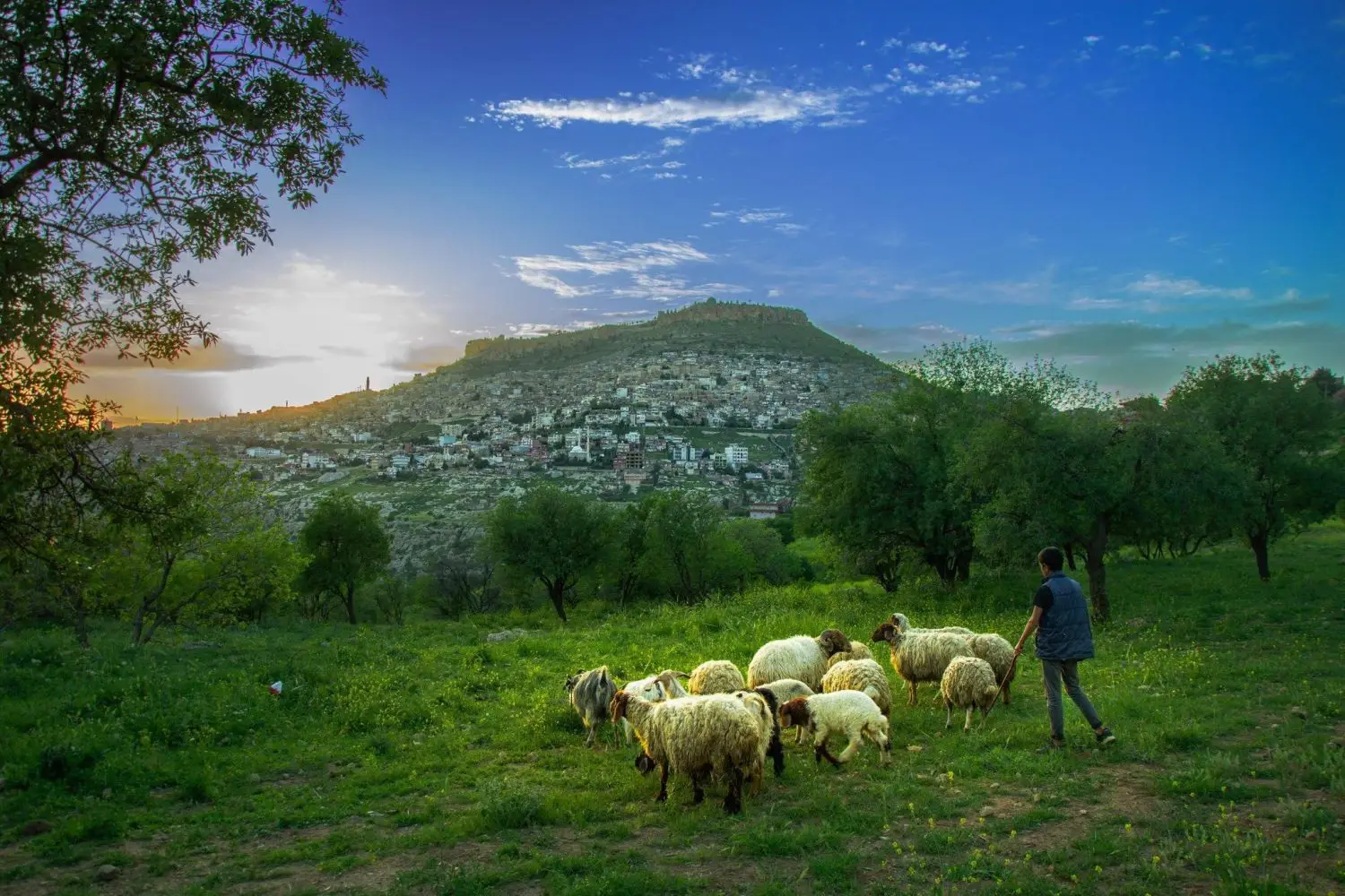mardin turu, mardin turları, mardin gezisi, butik mardin turu, mardin turu ets, mardin turu fiyatları, en iyi mardin turu, sadece mardin turu, yerel mardin turu, mardin vito kiralama, mardin gezi rehberi, mardin tur şirketi, mardin tur şirketleri